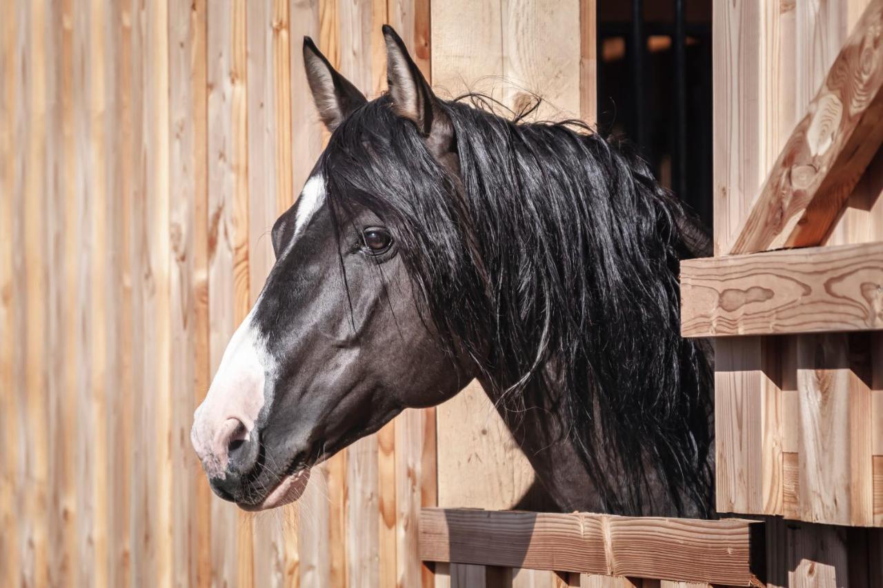 Ranchhouse Smoker- Westernstable - Horse Elterlein Экстерьер фото